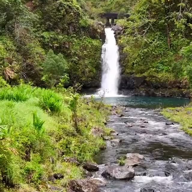 🌺Seven Sacred Pools (ʻOheʻo Gulch), Maui🌺 A serene stop at the end of the Road to Hana, where...