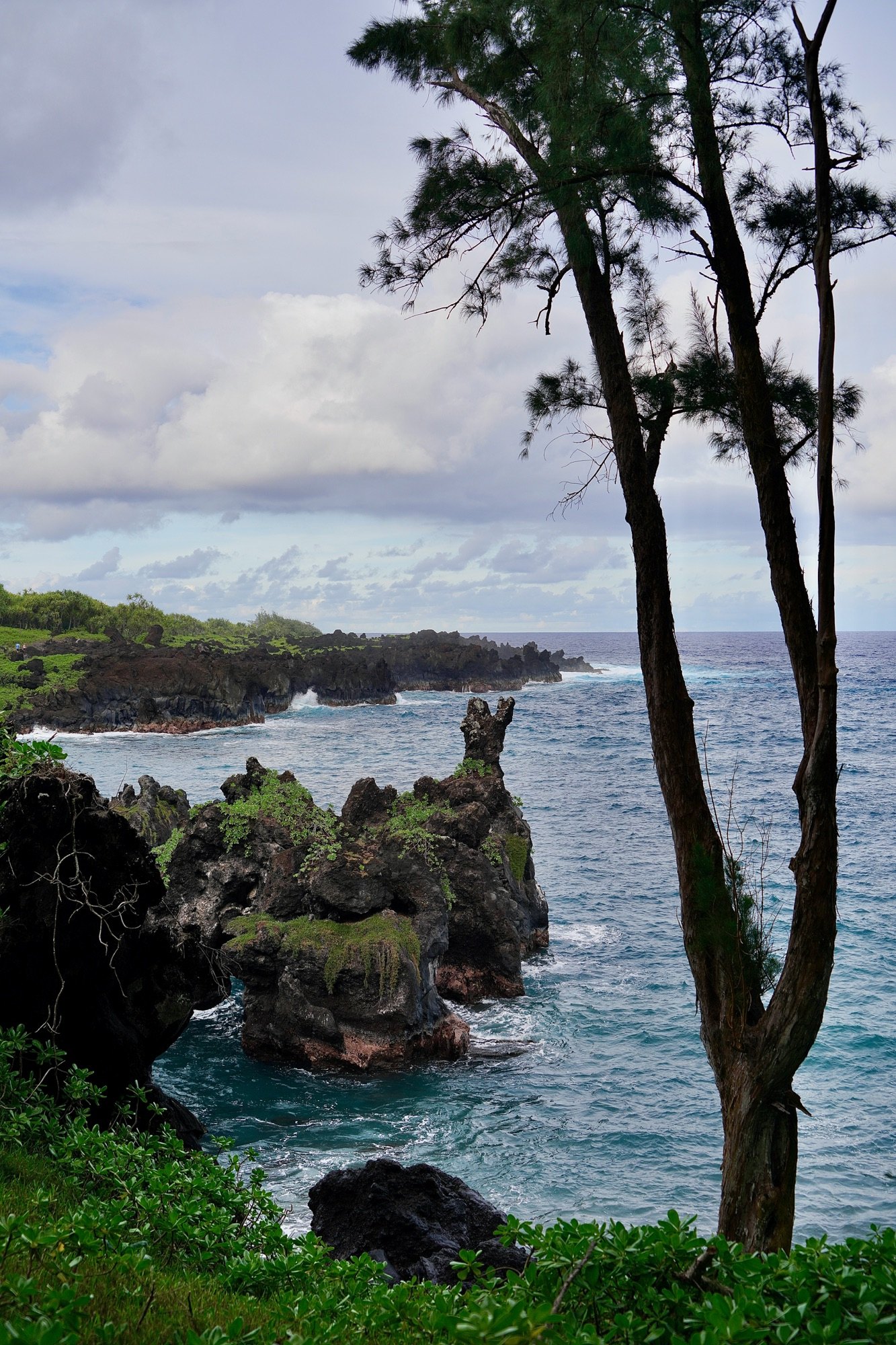 Coastal overlook framed by trees for Europe travel planning