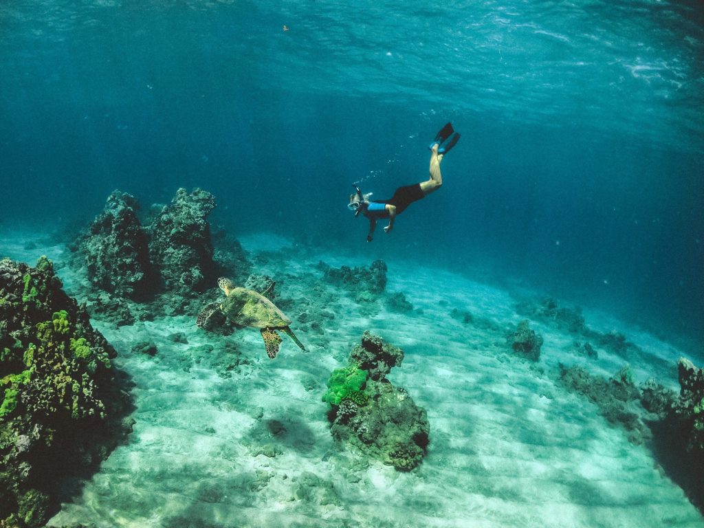 The Caribbean Island That Still section image: The Reef That Feels Like a Dream