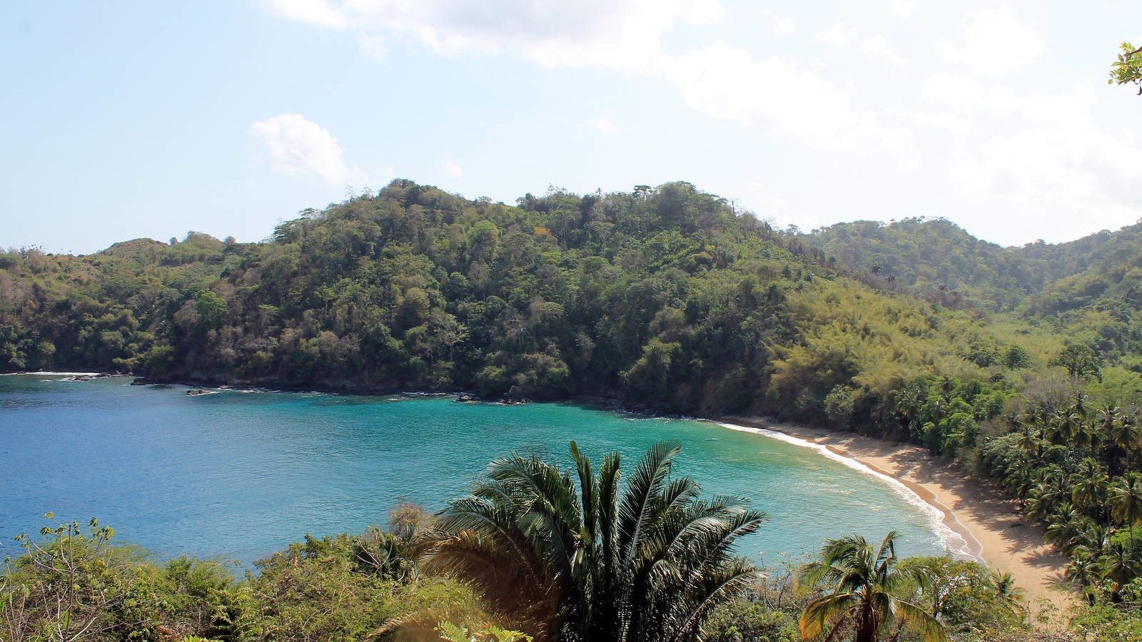 The Caribbean Island That Still Feels Like a Secret: Tobago