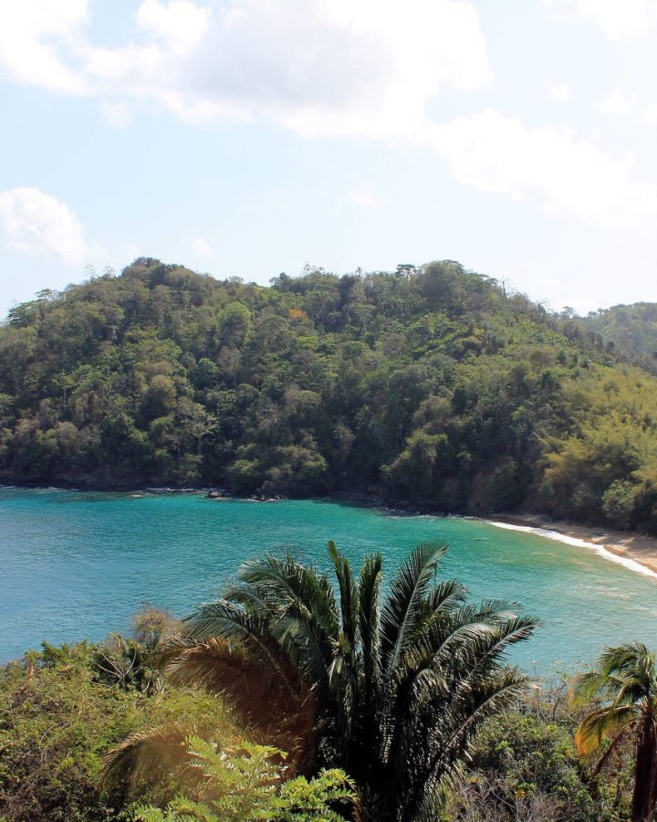 The Caribbean Island That Still Feels Like a Secret: Tobago
