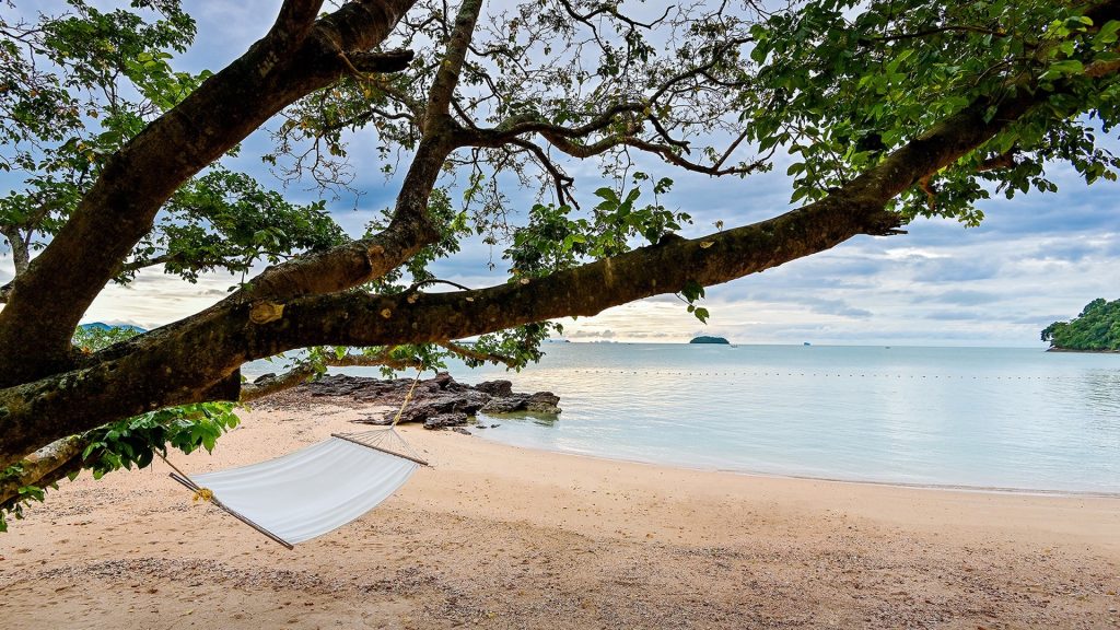 Coconut Island Thailand section image: Stay right where you are