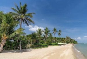 Coconut Island Thailand section image: The Beaches