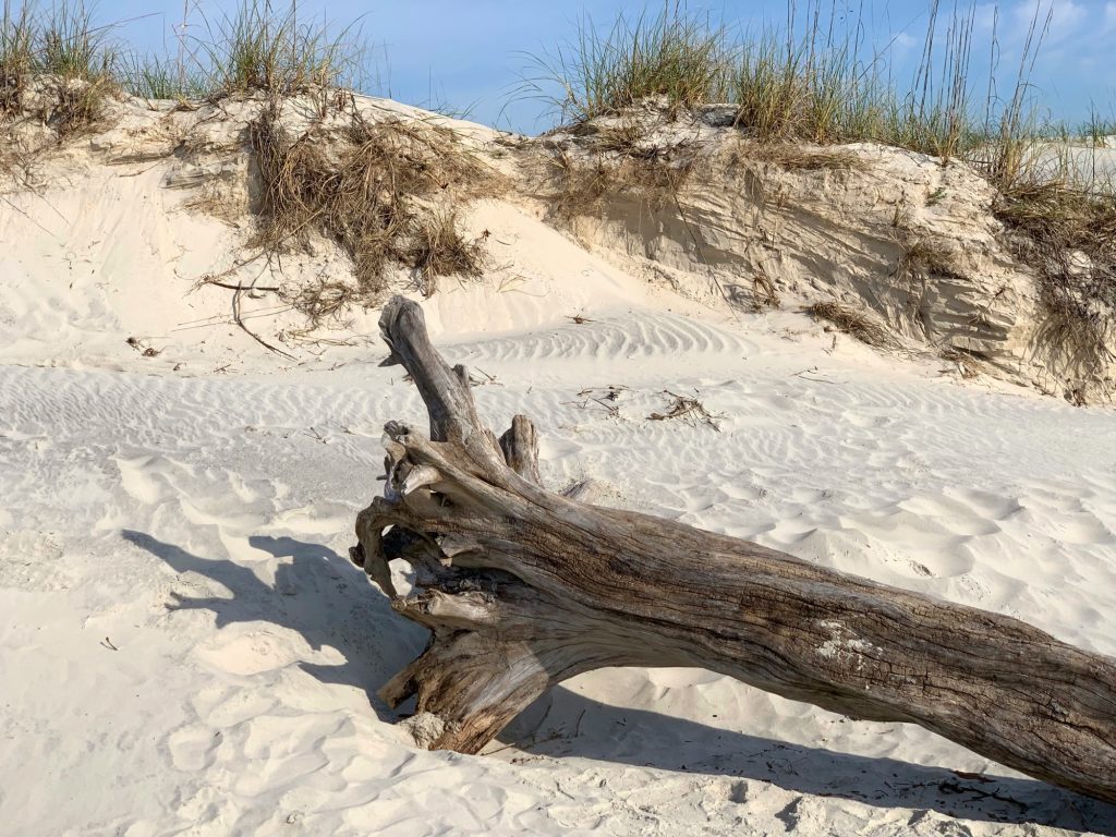 The Ultimate Guide to Jekyll Island section image: First Things First: What Makes Jekyll Island Different?