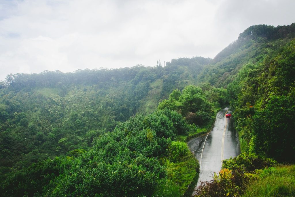 The Road to Hana section image: Why the Road to Hana Stays With People