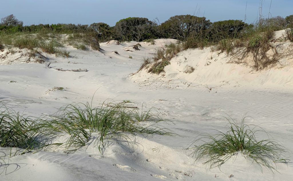 The Ultimate Guide to Jekyll Island section image: First Things First: What Makes Jekyll Island Different?