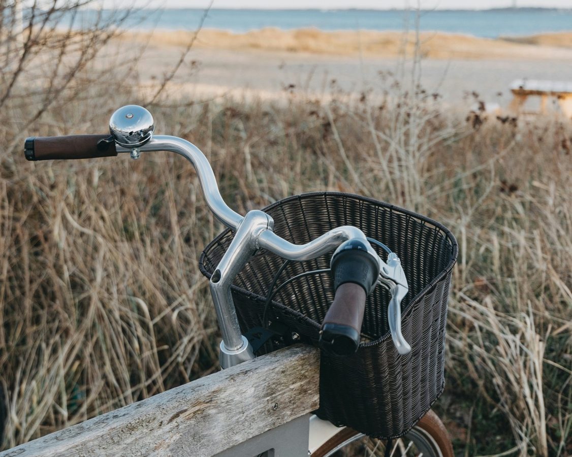 The Ultimate Guide to Jekyll Island: Driftwood Beaches, Hidden Paths, and the Georgia Coast at Its Best