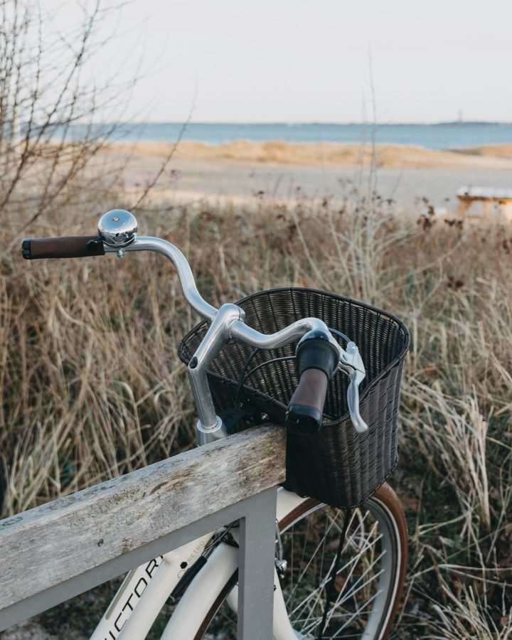 The Ultimate Guide to Jekyll Island: Driftwood Beaches, Hidden Paths, and the Georgia Coast at Its Best