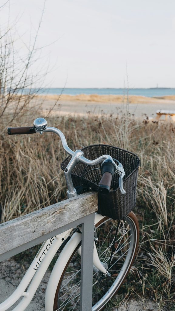 The Ultimate Guide to Jekyll Island section image: First Things First: What Makes Jekyll Island Different?