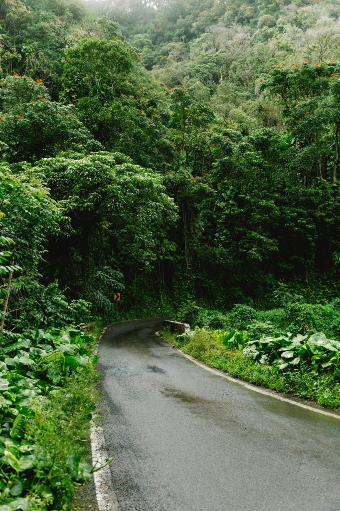 The Road to Hana section image: What Is the Road to Hana?