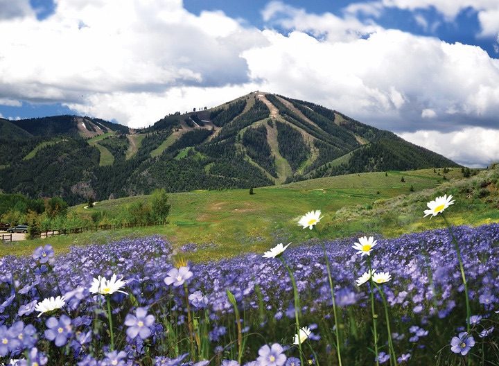 The Best Things to Do in Sun Valley in Summer